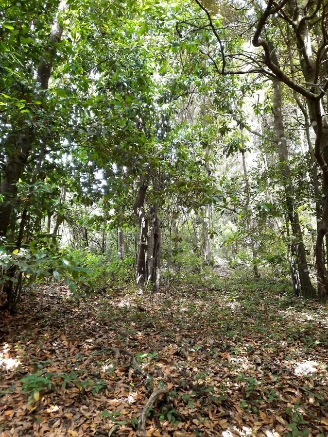 הוילה טקורונטה Finca La Jaraca בית חווה